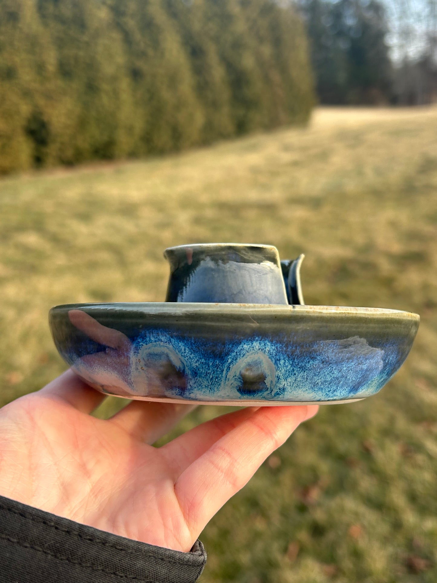Sponge Dish