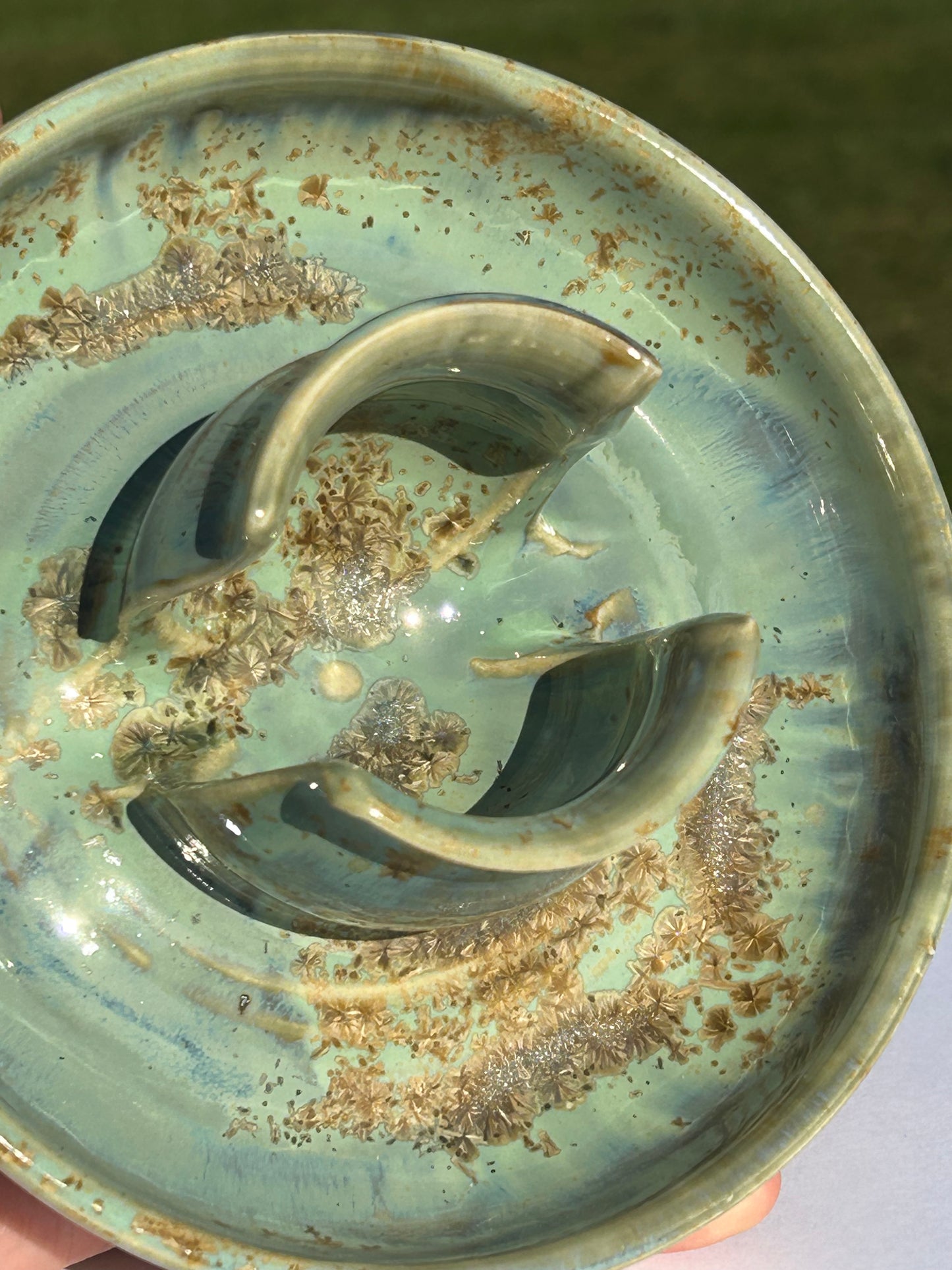 Golden Sponge Dish