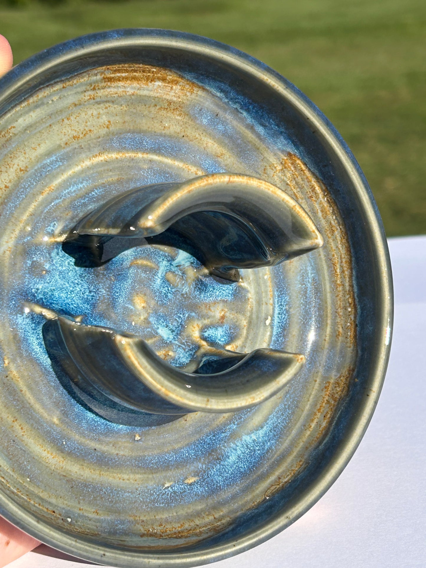 Ocean Sponge Dish