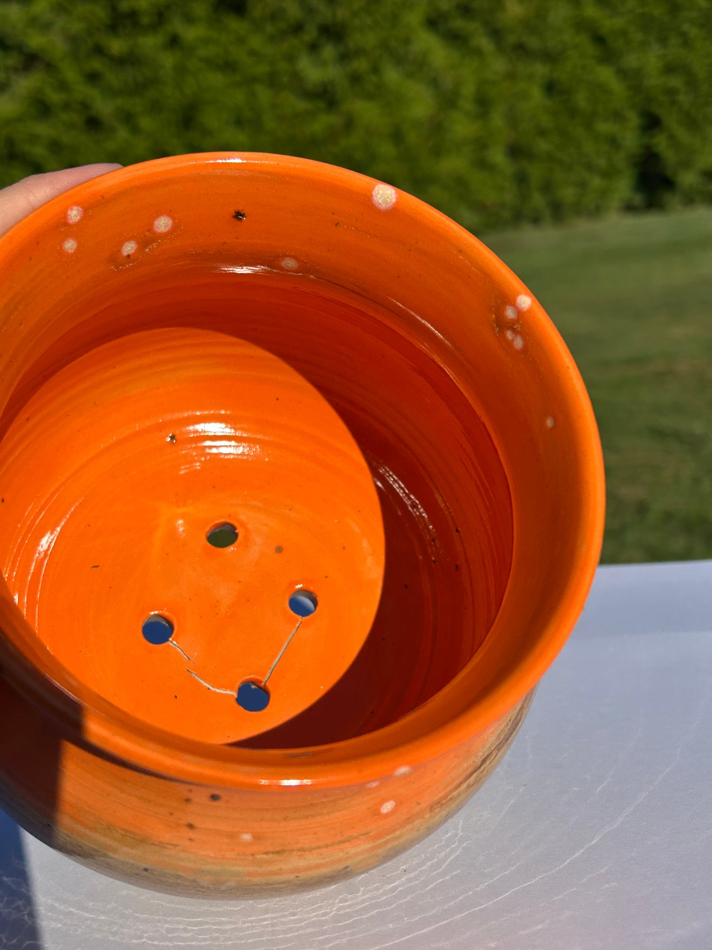 Harvest Pot