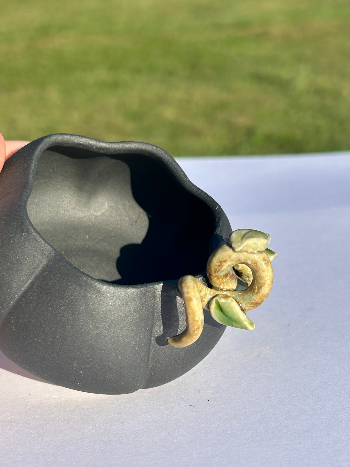 Mini Midnight Pumpkin