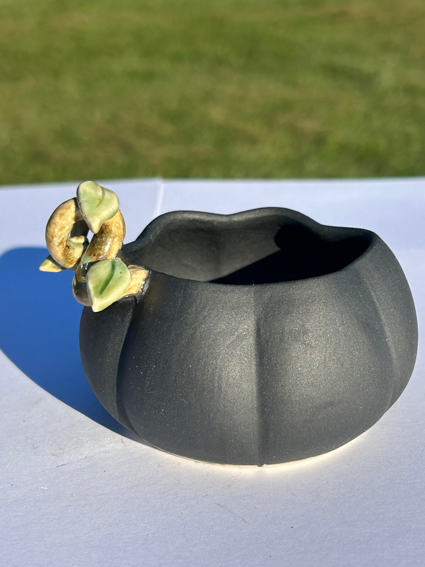 Mini Midnight Pumpkin