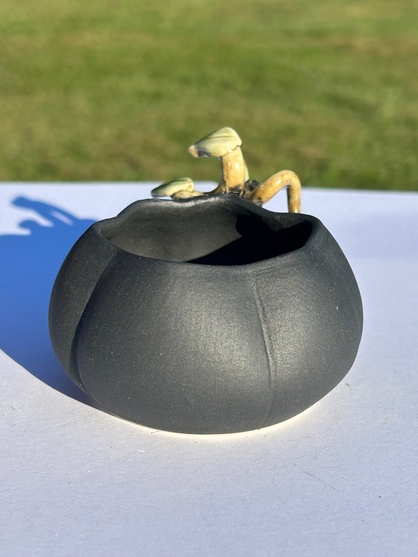 Mini Midnight Pumpkin