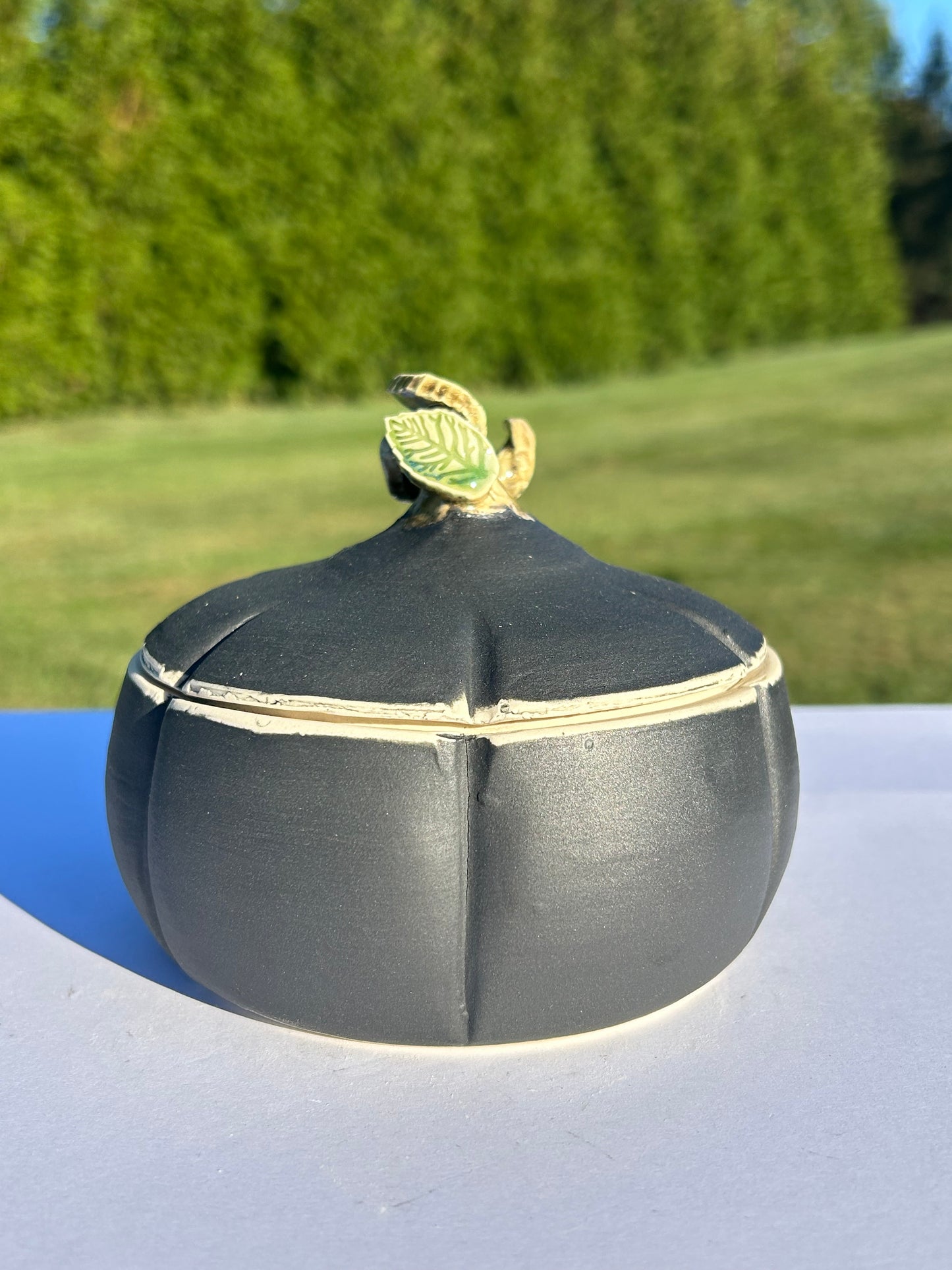 Velvet Pumpkin Jar