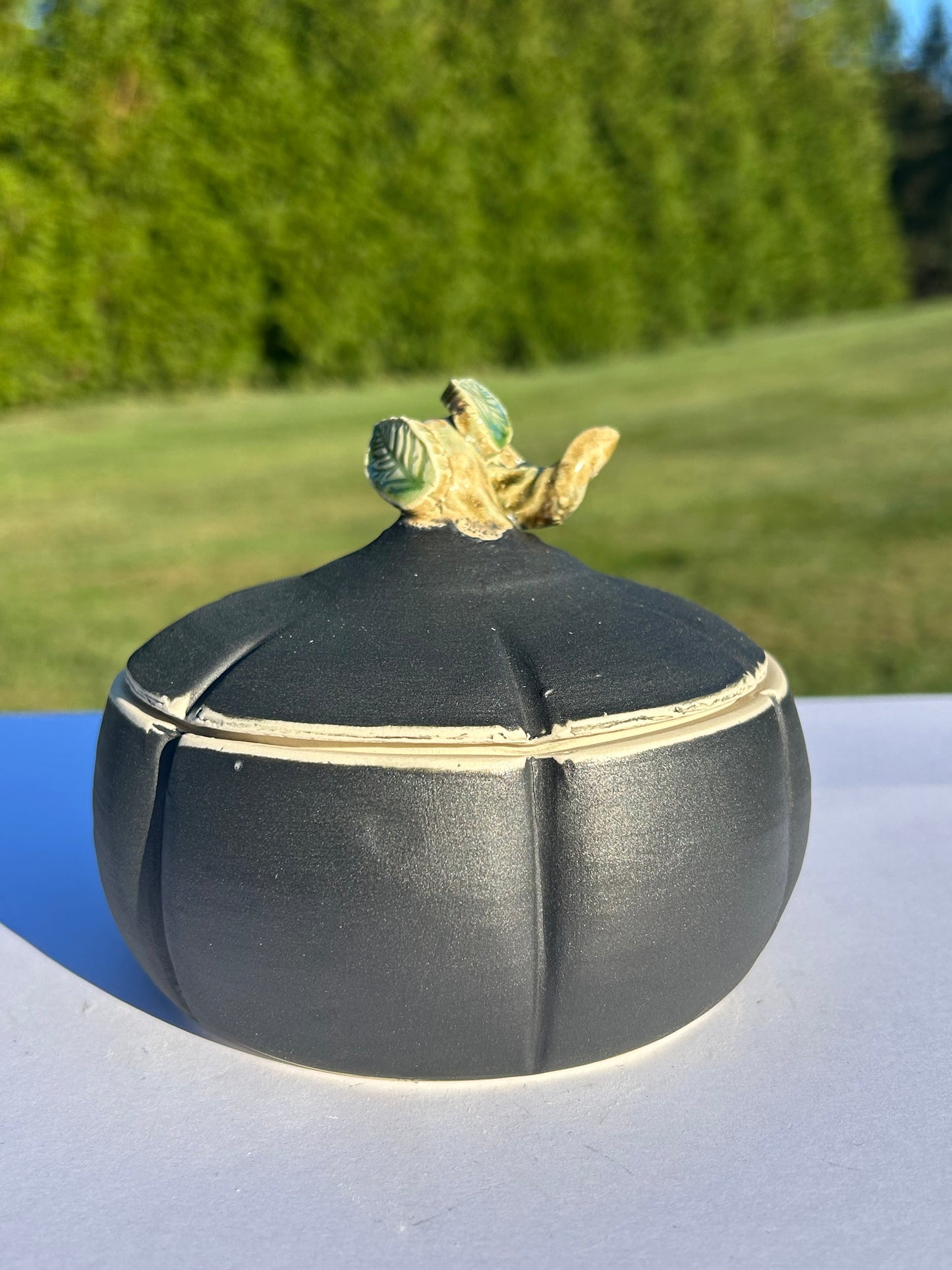 Velvet Pumpkin Jar