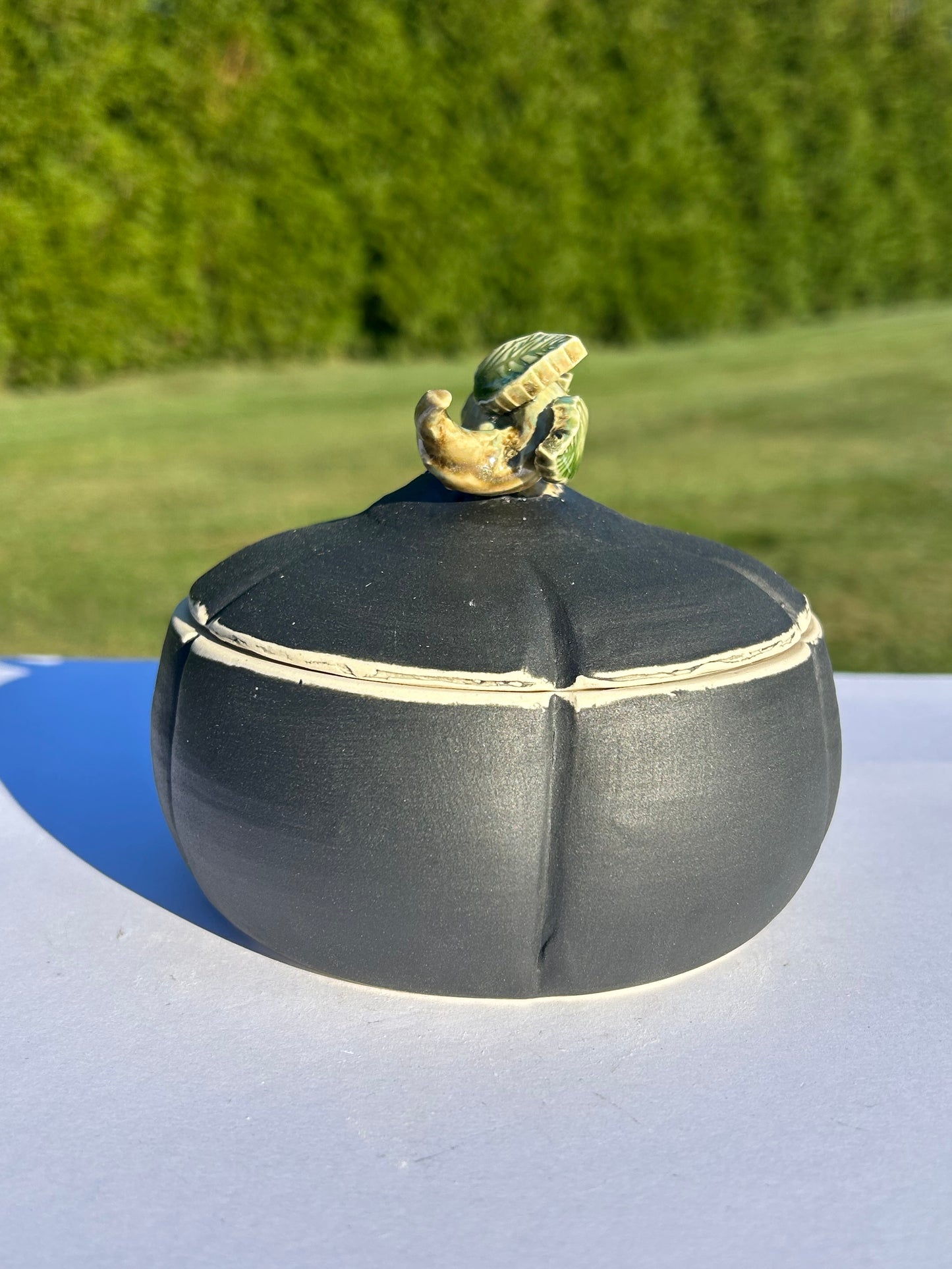 Velvet Pumpkin Jar