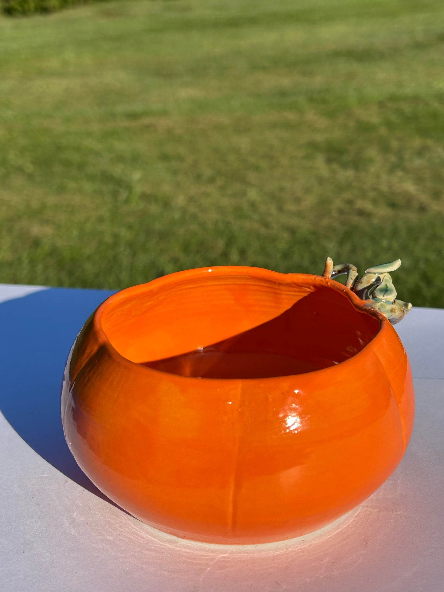 Autumn Pumpkin