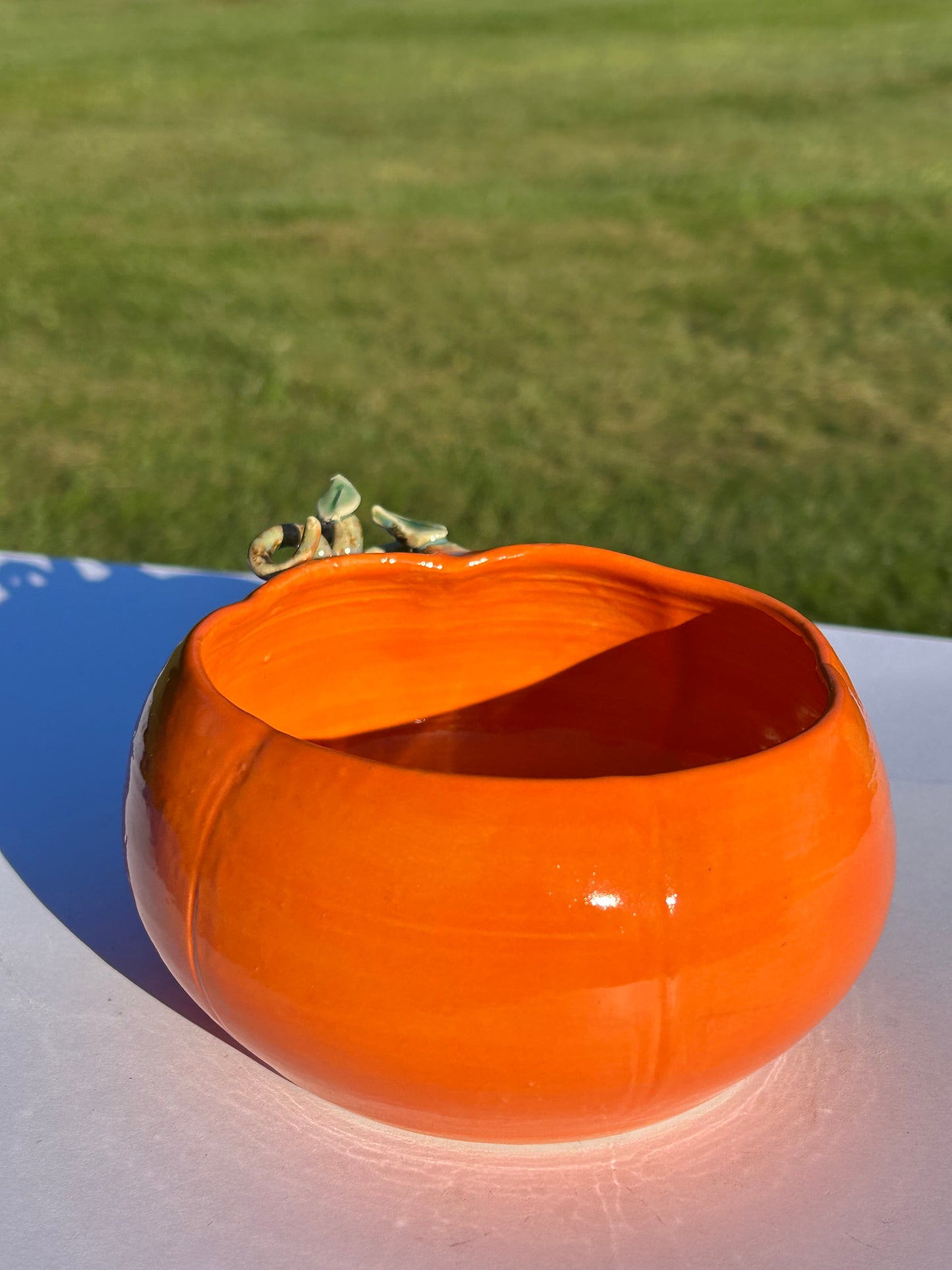 Autumn Pumpkin