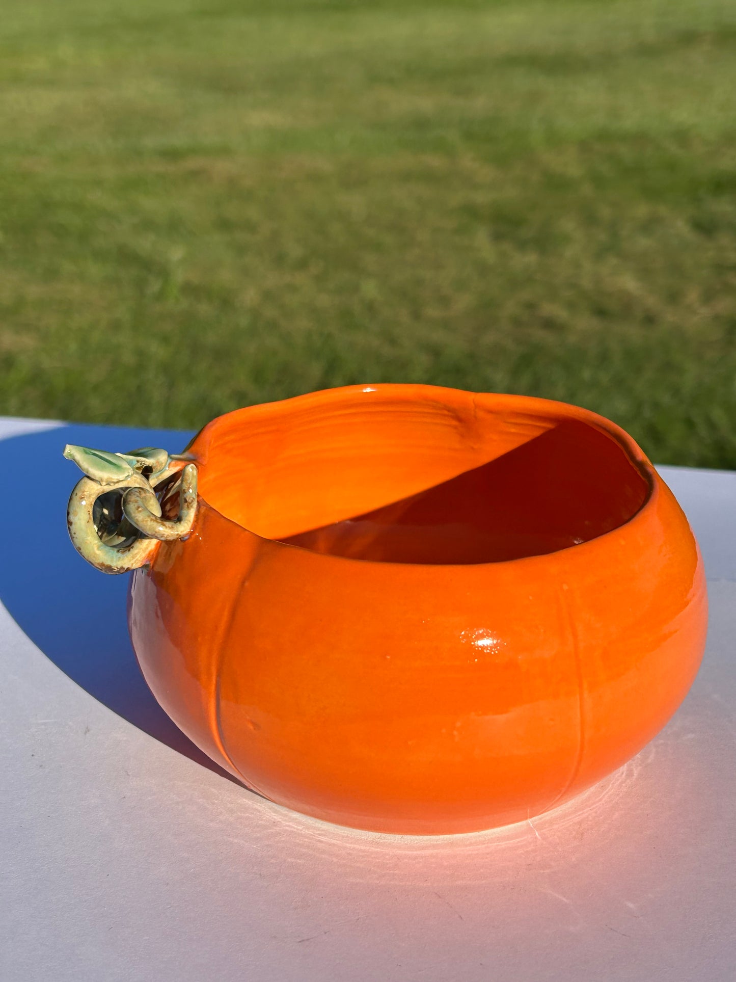 Autumn Pumpkin