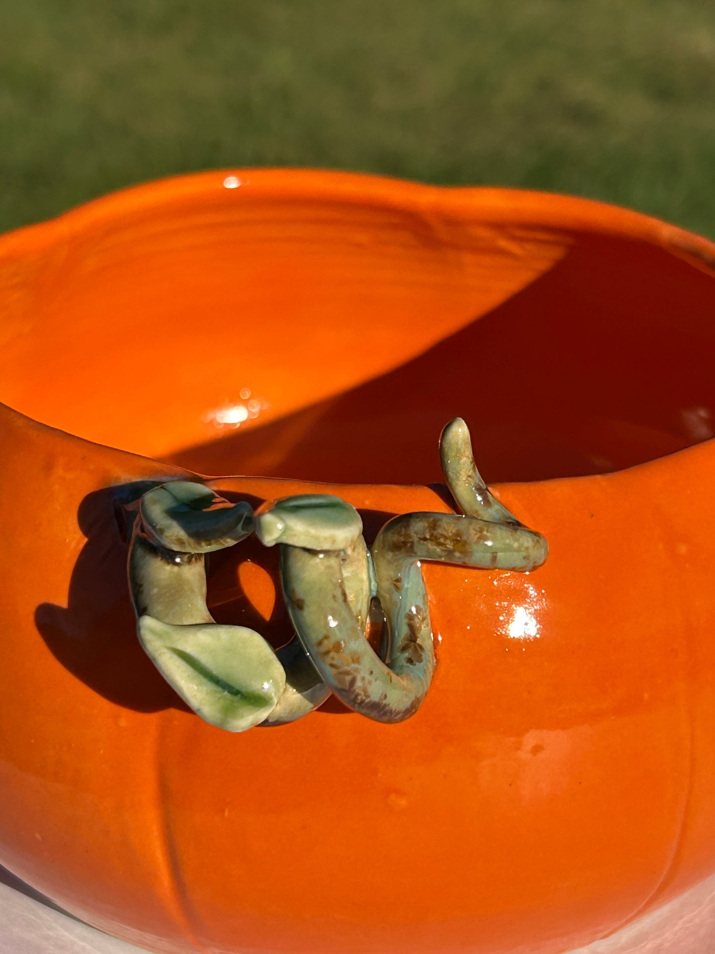 Autumn Pumpkin