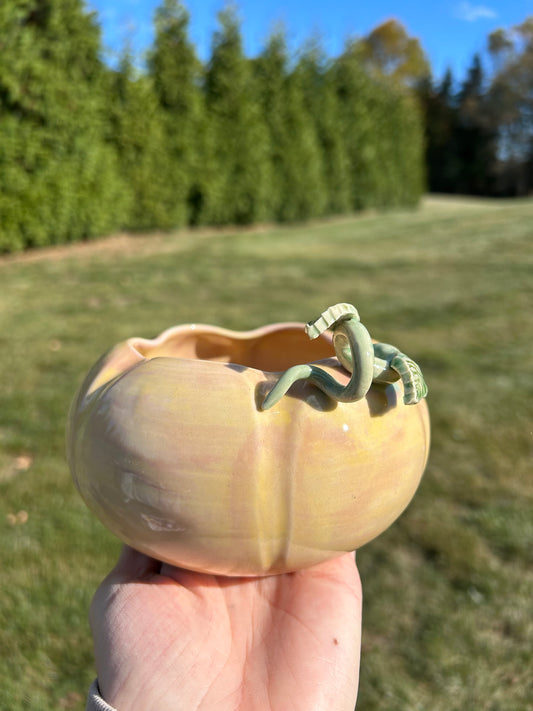 Med Pumpkin