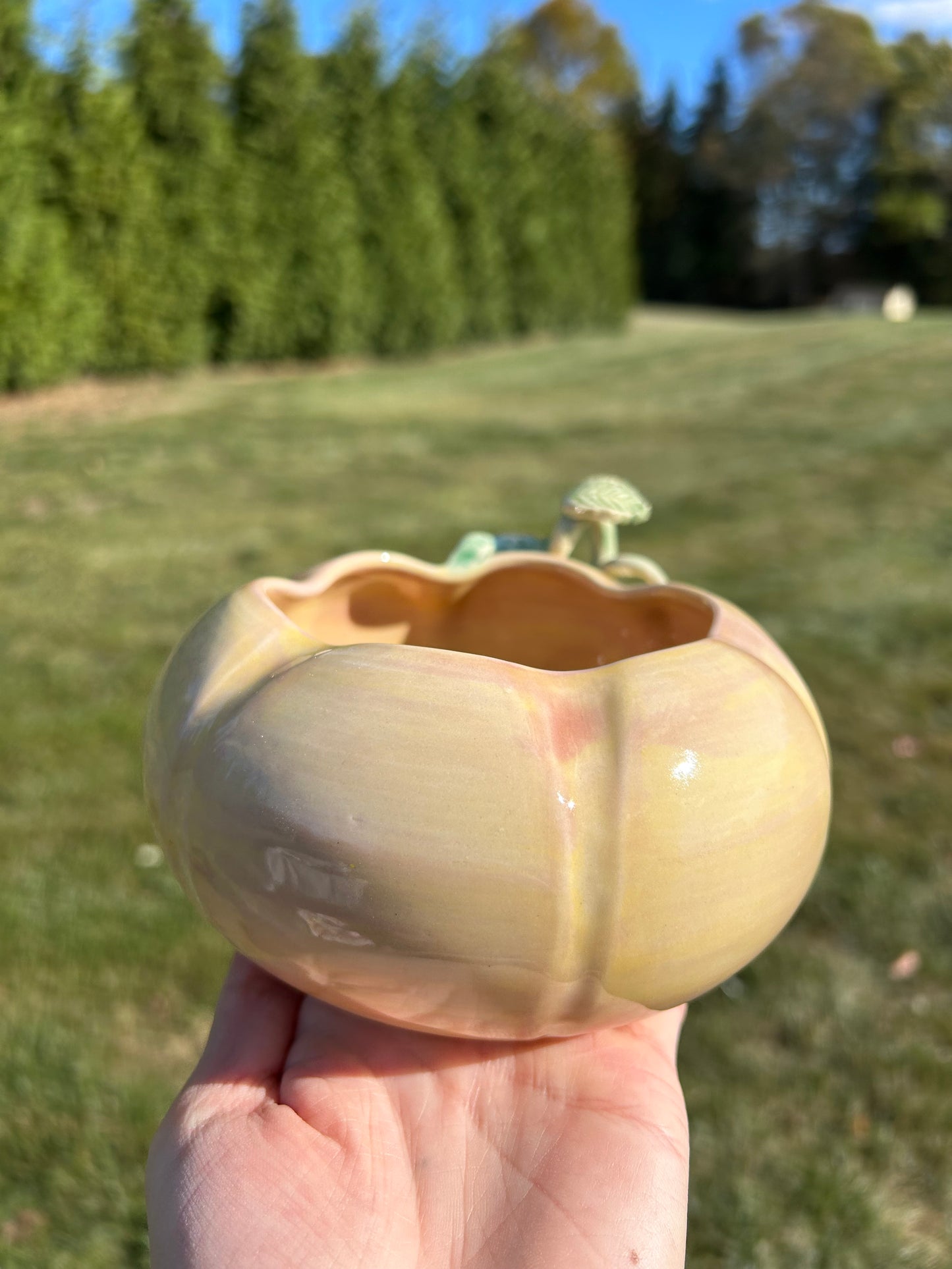 Med Pumpkin