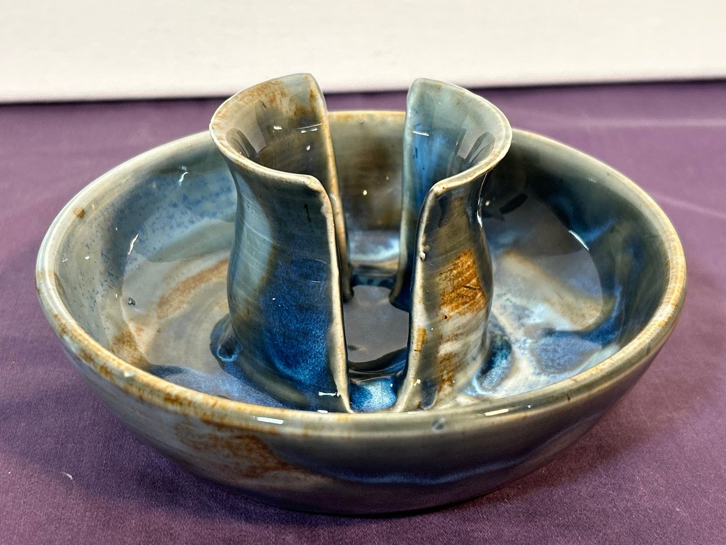 Sponge Dish