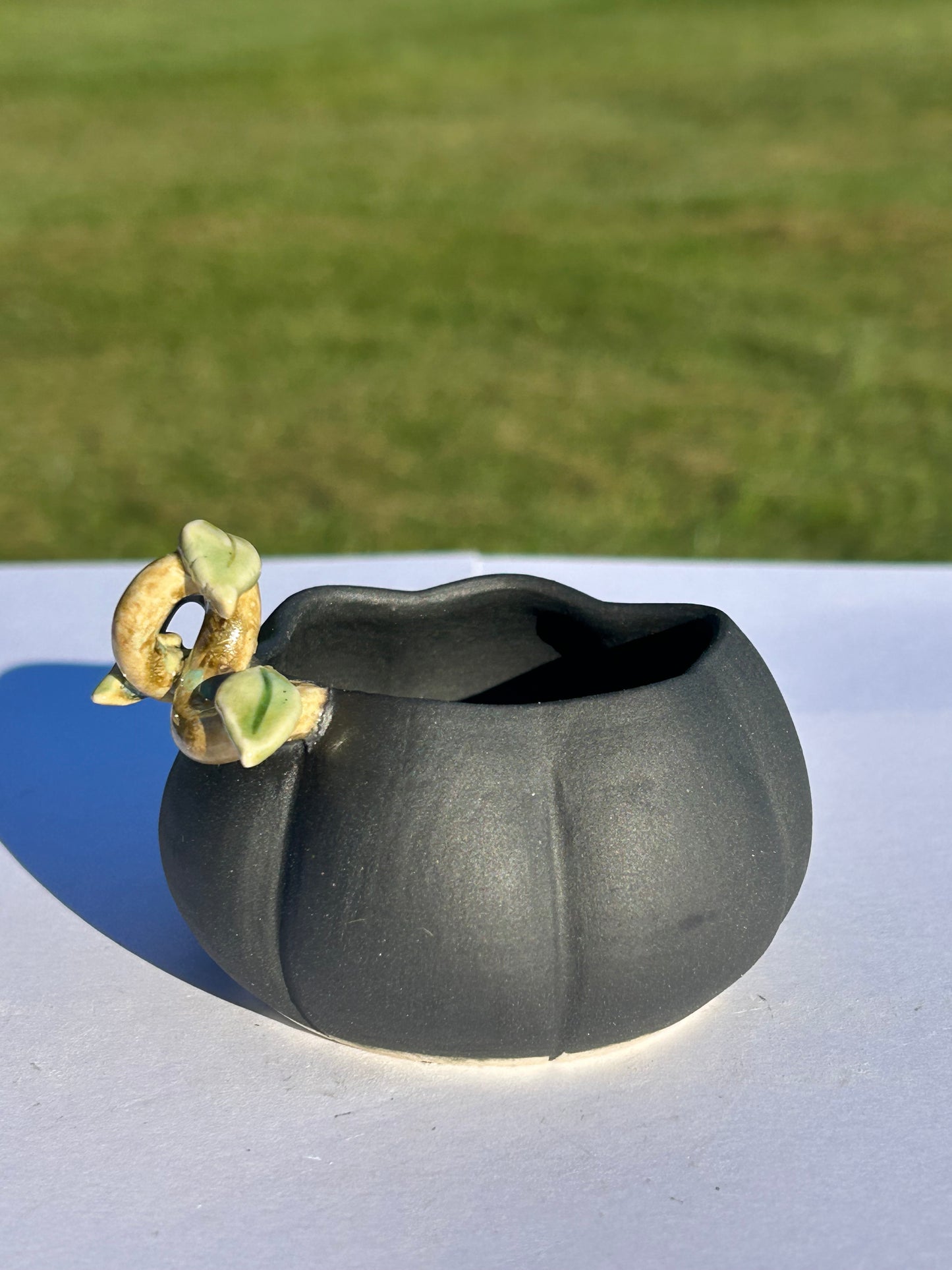 Mini Midnight Pumpkin