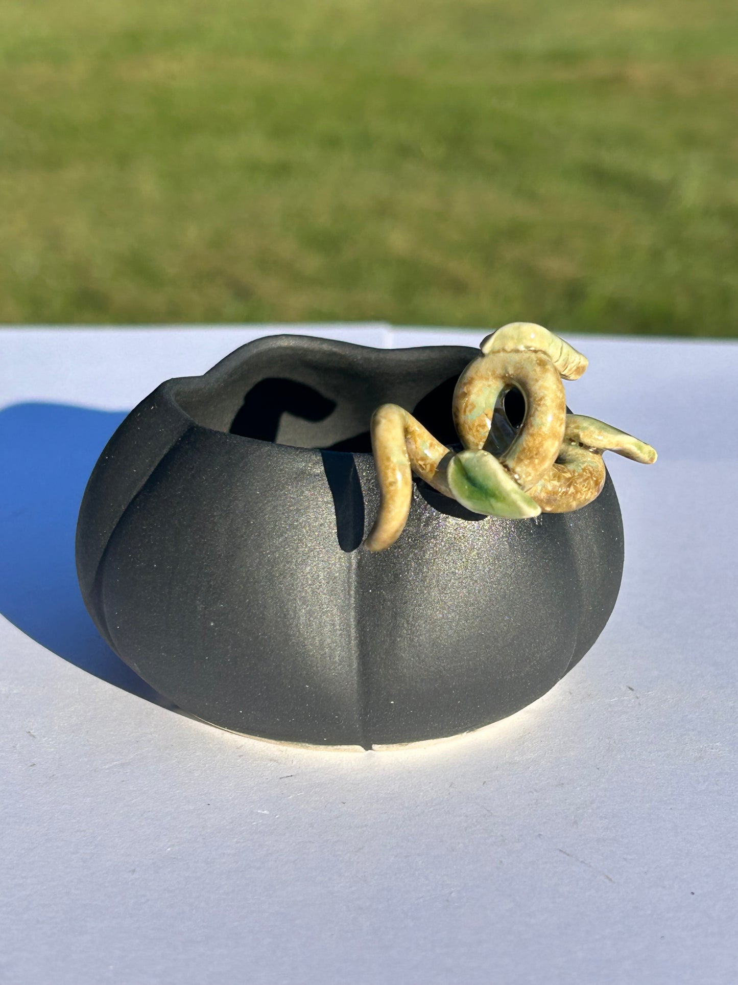 Mini Midnight Pumpkin