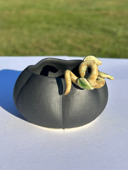 Mini Midnight Pumpkin